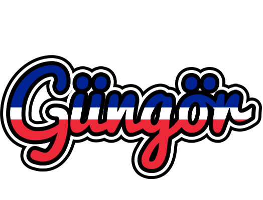 Güngör france logo