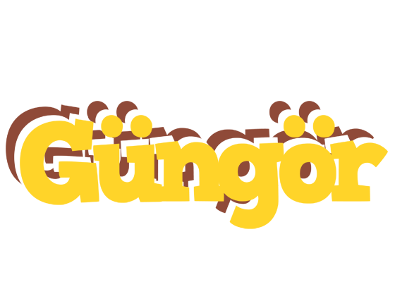 Güngör hotcup logo