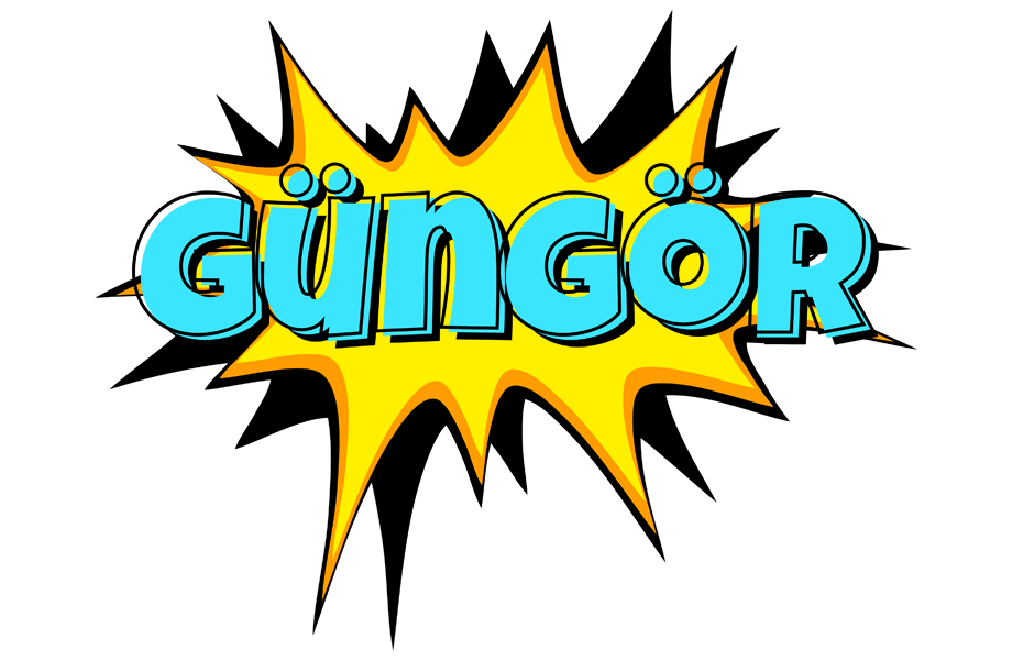 Güngör indycar logo