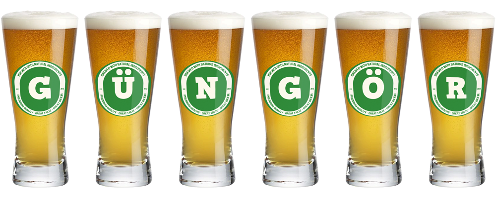 Güngör lager logo