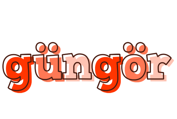 Güngör paint logo