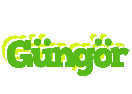 Güngör picnic logo