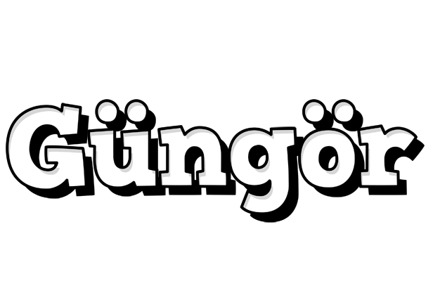 Güngör snowing logo