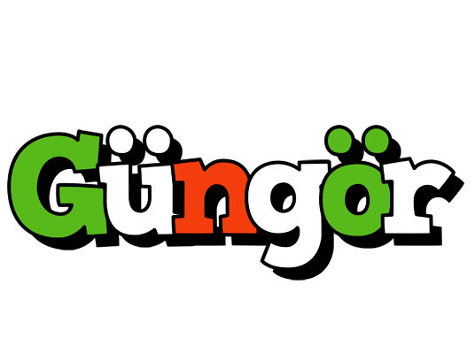 Güngör venezia logo
