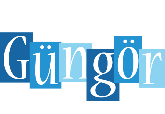 Güngör winter logo