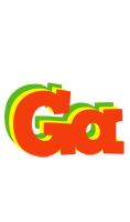 Ga bbq logo