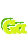 Ga citrus logo