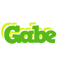 Gabe picnic logo