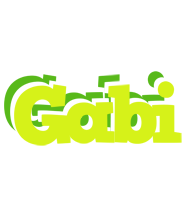 Gabi citrus logo