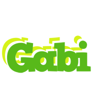 Gabi picnic logo