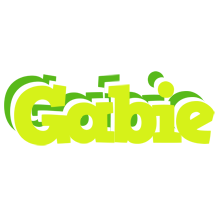 Gabie citrus logo