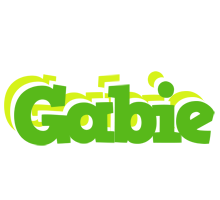 Gabie picnic logo