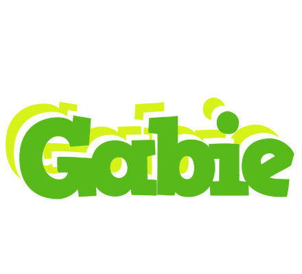 Gabie picnic logo