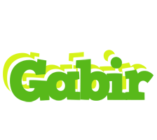 Gabir picnic logo