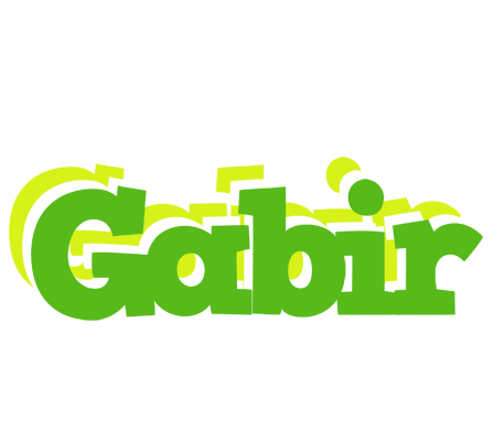Gabir picnic logo