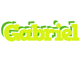 Gabriel citrus logo