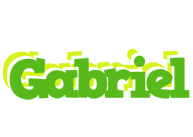 Gabriel picnic logo