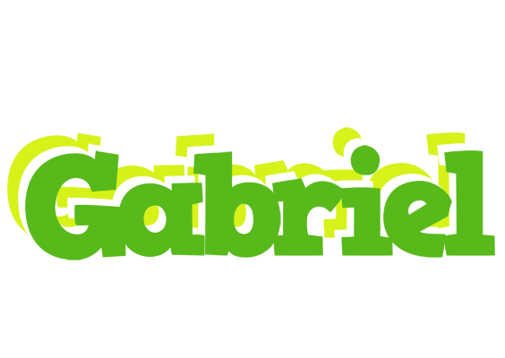 Gabriel picnic logo
