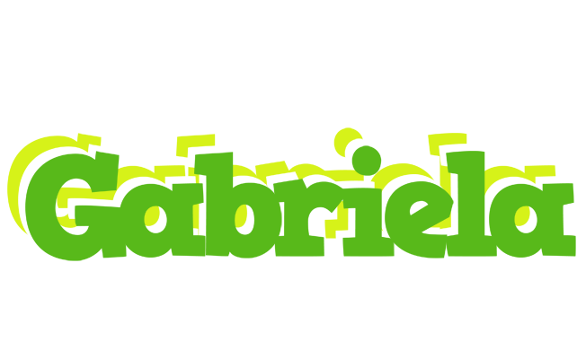 Gabriela picnic logo