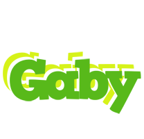 Gaby picnic logo