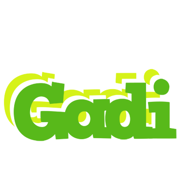 Gadi picnic logo