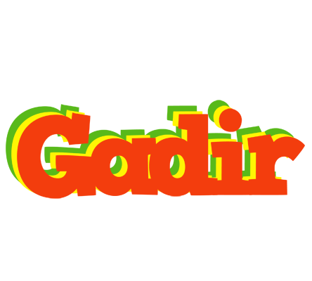 Gadir bbq logo