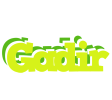 Gadir citrus logo