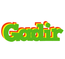 Gadir crocodile logo