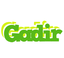 Gadir picnic logo