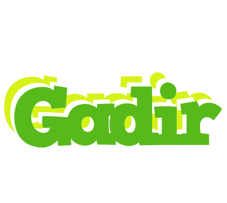 Gadir picnic logo