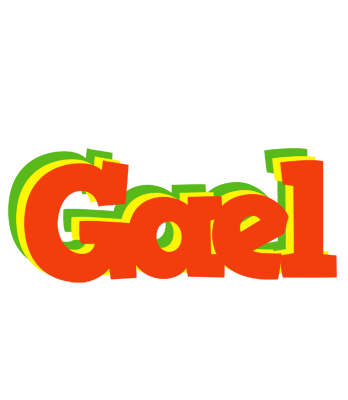 Gael bbq logo
