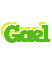 Gael picnic logo