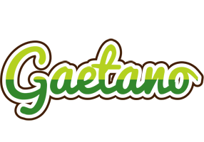 Gaetano golfing logo