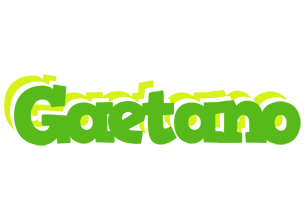 Gaetano picnic logo