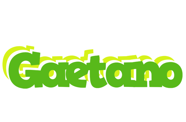 Gaetano picnic logo