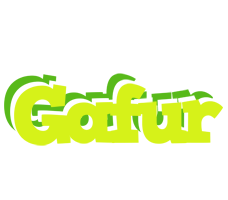 Gafur citrus logo