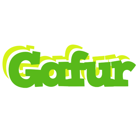 Gafur picnic logo