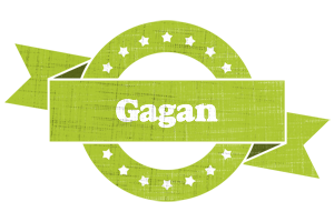 Gagan change logo