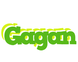 Gagan picnic logo