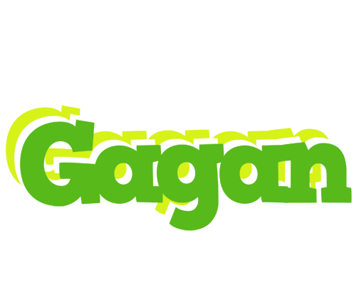 Gagan picnic logo