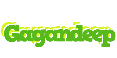 Gagandeep picnic logo