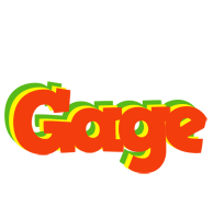 Gage bbq logo