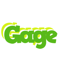 Gage picnic logo
