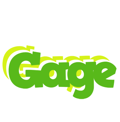 Gage picnic logo