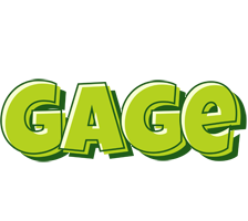 Gage summer logo
