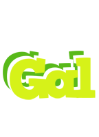 Gal citrus logo