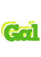 Gal picnic logo