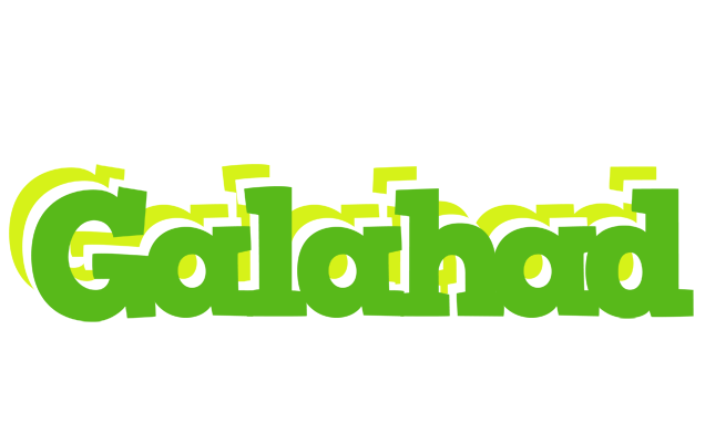 Galahad picnic logo