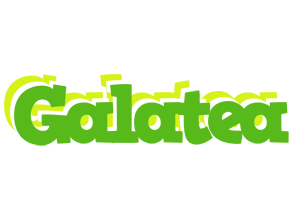 Galatea picnic logo