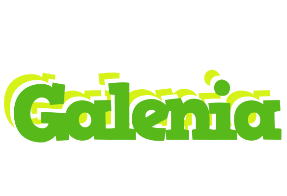 Galenia picnic logo